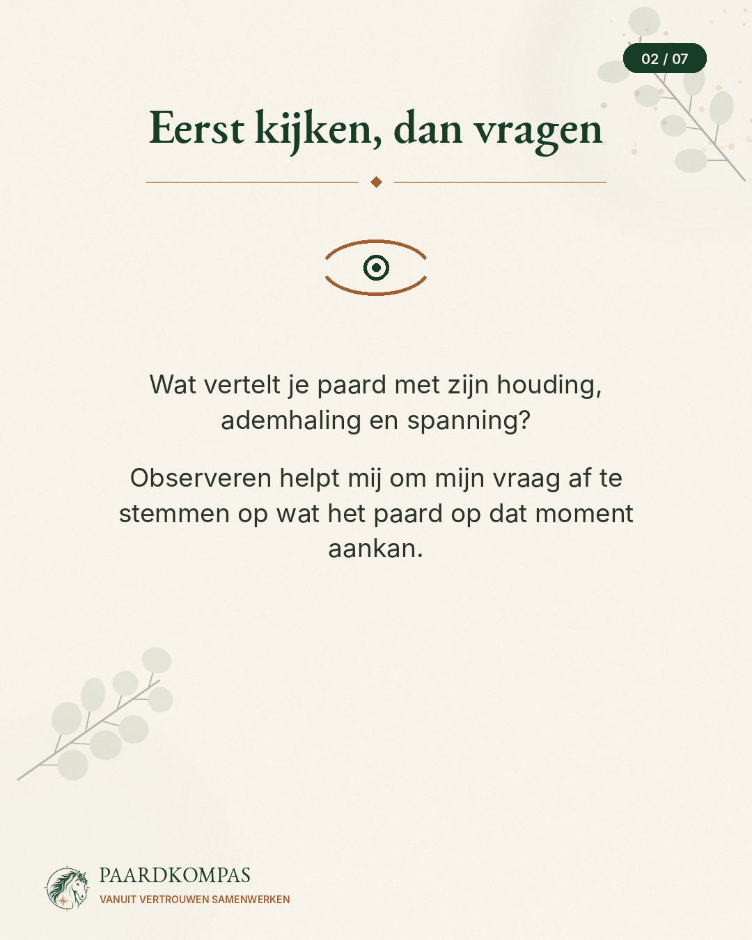 Eerst kijken, dan vragen. Observeren helpt om een vraag af te stemmen op wat het paard aankan.
