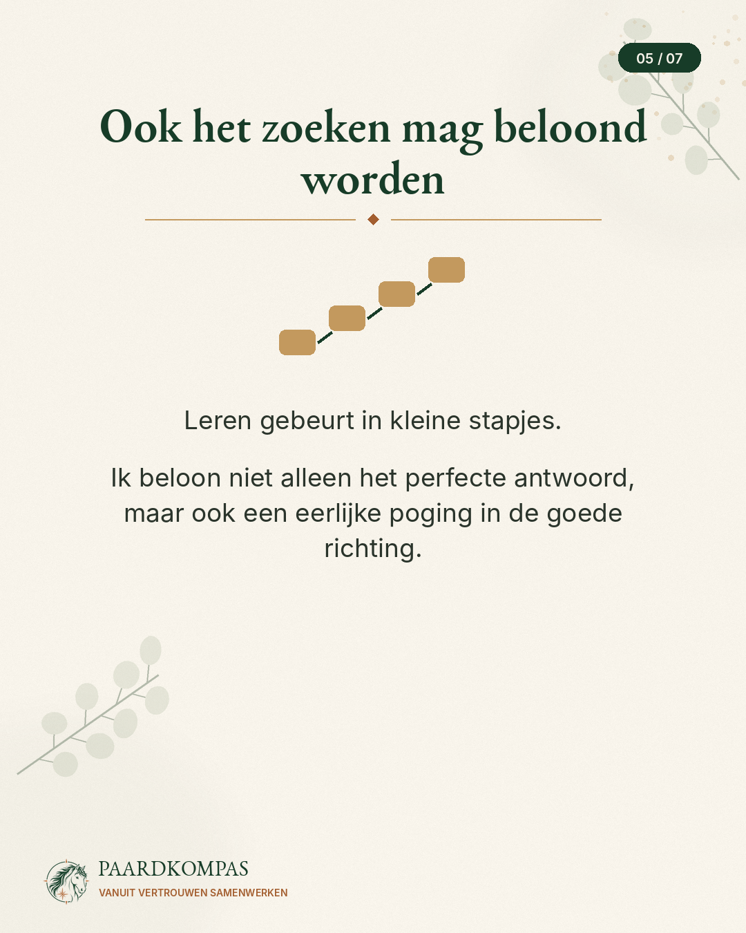 Ook het zoeken mag beloond worden. Leren gebeurt in kleine stapjes.